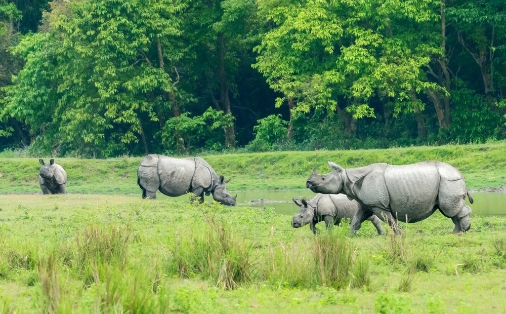 Meghalaya with Kaziranga