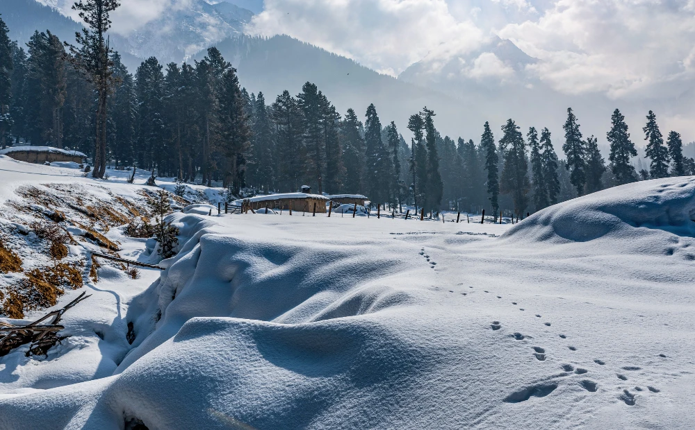 Winter Kashmir