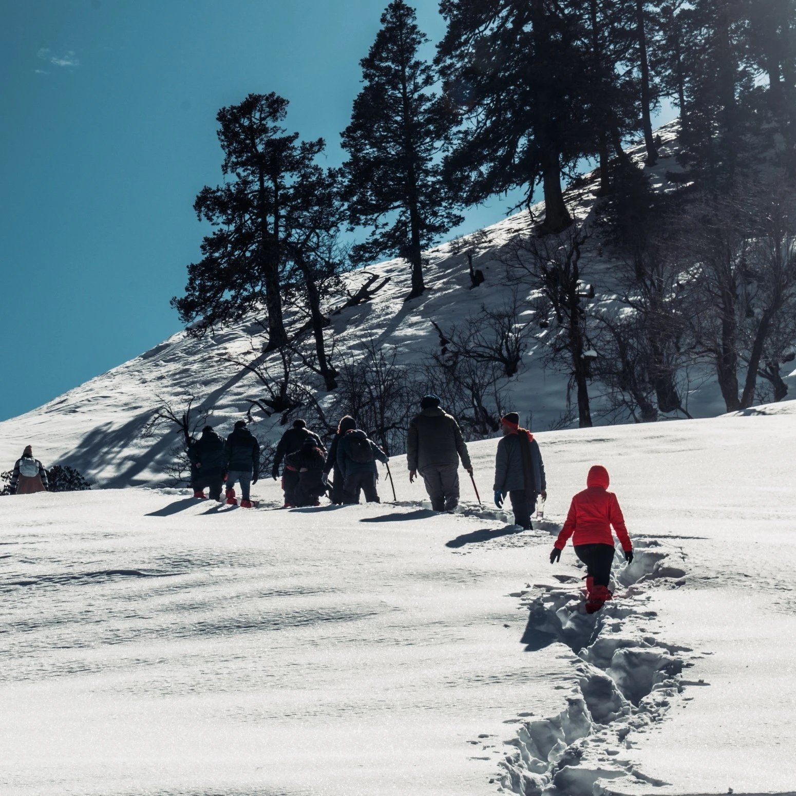 Dayara Bugyal Trek