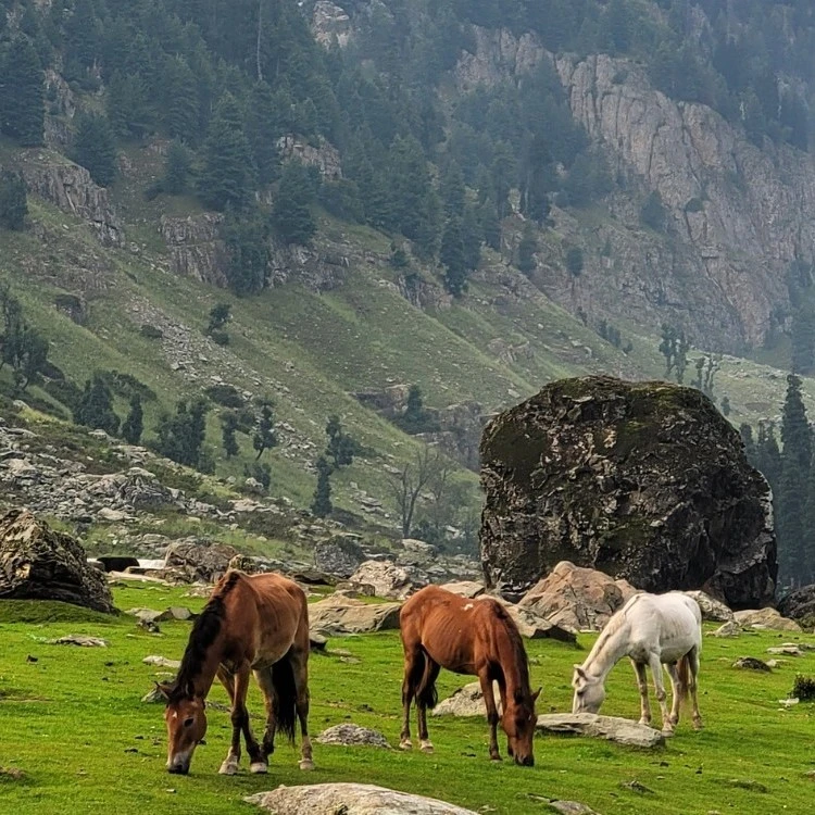 Tarsar Marsar Lake Trek