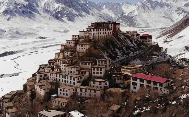Trips in January