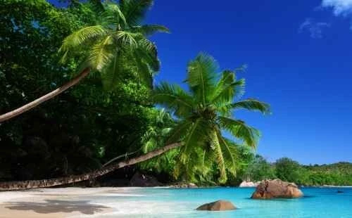 Seychelles tour package