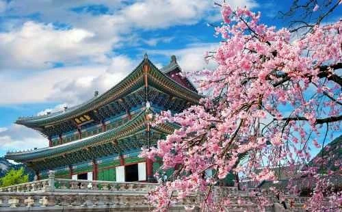 South Korea tour package