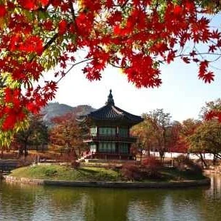 South Korea tour package