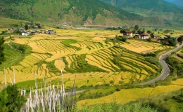 Bhutan Group Tour Packages