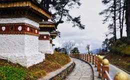 Bhutan Group Tour Packages