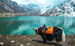 Sikkim Tour Packages