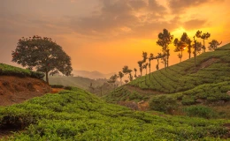 Backpacking Trips in Kerala