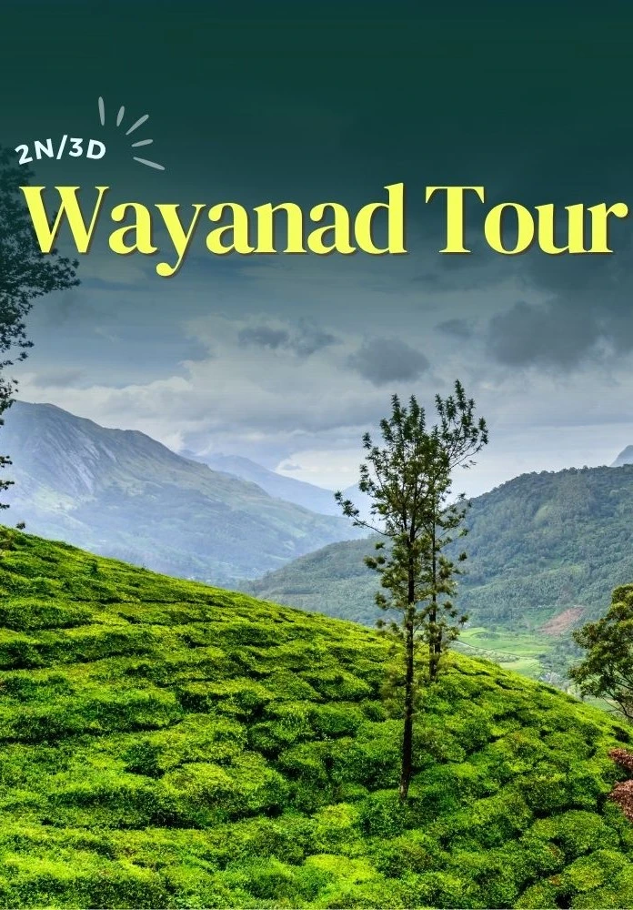 2 Nights 3 Days Wayanad Tour Package