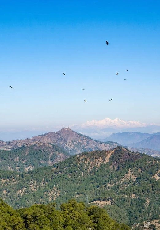 3 Nights 4 Days Lansdowne and Corbett Tour Package