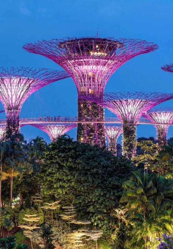 3 Nights Singapore - Budget Friendly Package