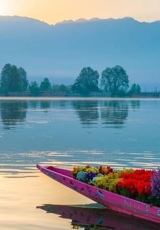 4 Nights 5 Days Kashmir Trip