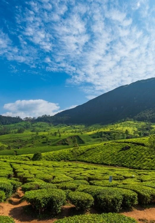 4 Nights 5 Days Kerala Tour Package