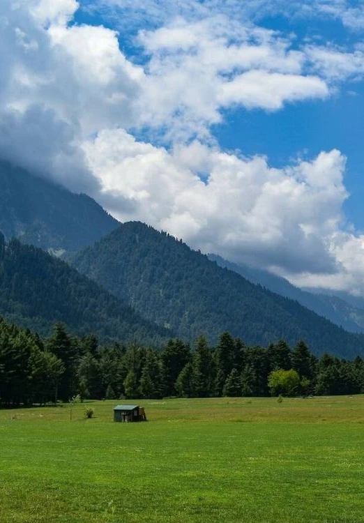 5 Night - 6 Days Kashmir Tour