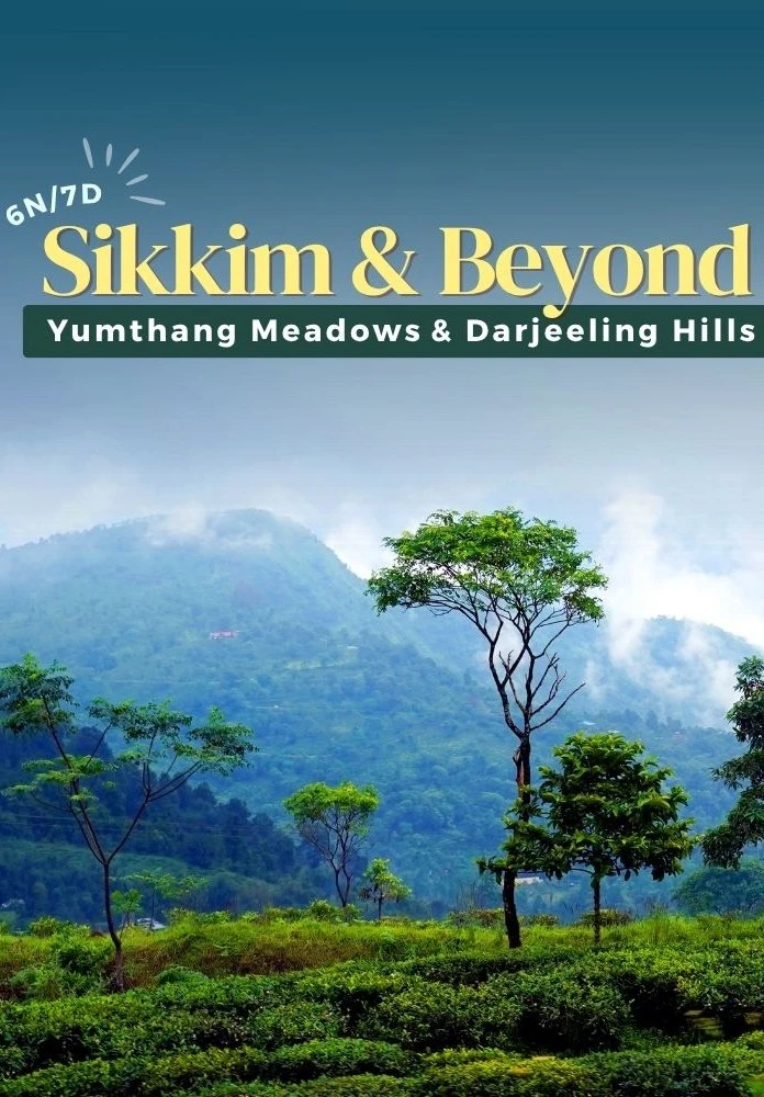 6 Nights 7 Days Sikkim Tour with Yumthang and Darjeeling