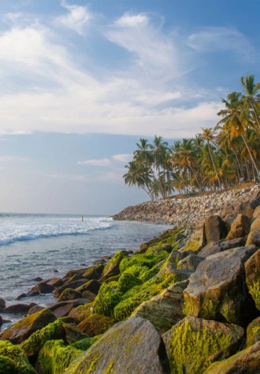 6 Nights 7 Days Kerala Tour package with Varkala