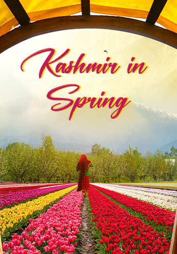 Kashmir in Spring