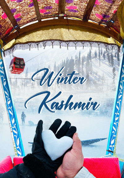 Kashmir Winter Trip