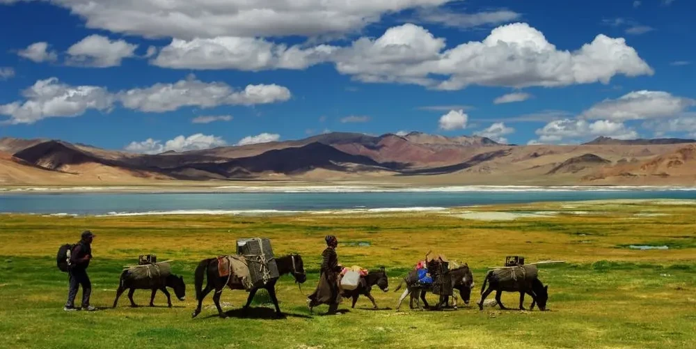 8 Nights 9 Days Srinagar Leh Tour Package