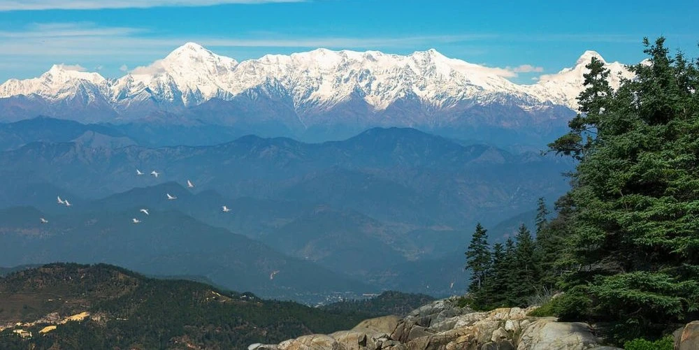 2-night-3-days-amazing-binsar-tour-package-JustWravel-1746173174-Untitled-design-(10).jpg