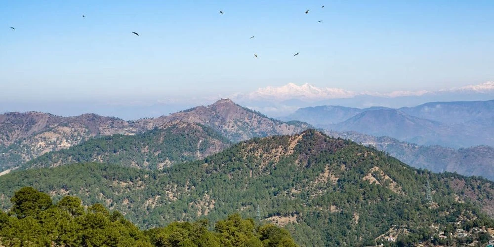 3-night-4-days-lansdowne-corbett-tour-package-JustWravel-1746188041-11.jpg