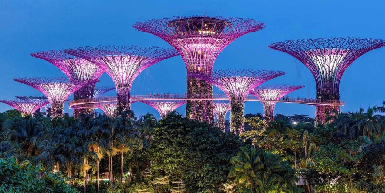 3-nights-singapore-budget-friendly-package-JustWravel-1735799773-The-Super-Trees-at-Gardens-By-The-Bay-illuminated-in-pink-at-evening,-Singapore.jpg