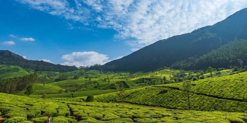 4-nights-5-days-kerala-tour-package-JustWravel-1750835580-1.jpg