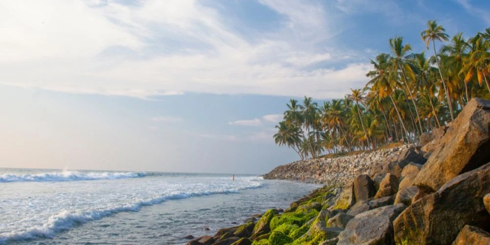 6-nights-7-days-kerala-tour-package-with-varkala-JustWravel-1750684060-14.jpg