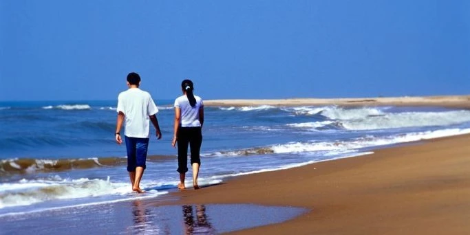 7-days-karnataka-honeymoon-package-JustWravel-1733914618-Honeymoon-Banner-(3).jpg