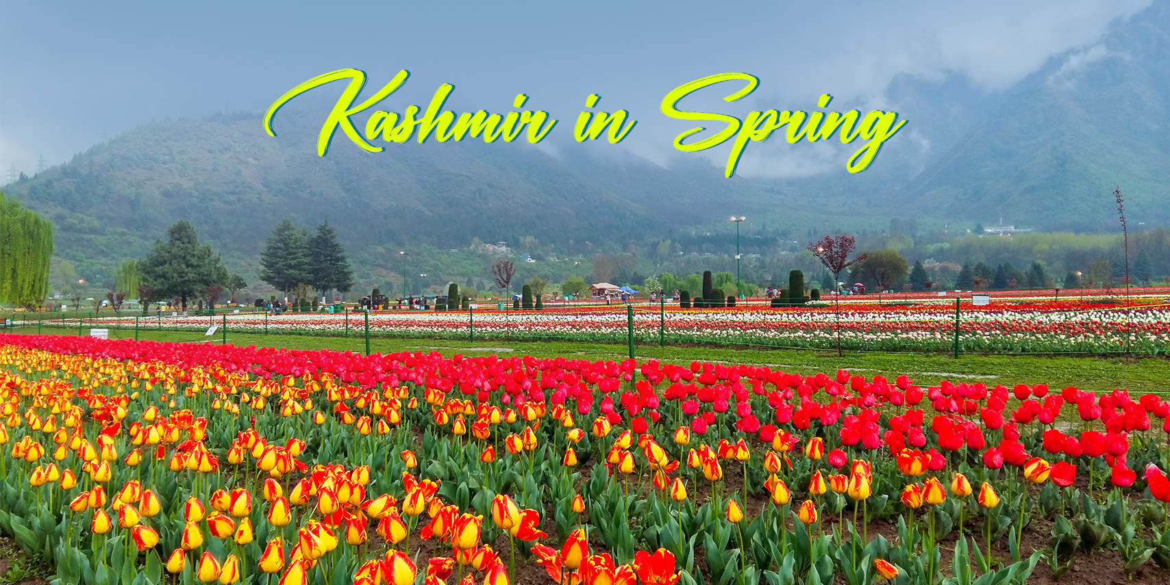 JustWravel-1707036724-Kashmir-Spring-1.jpg