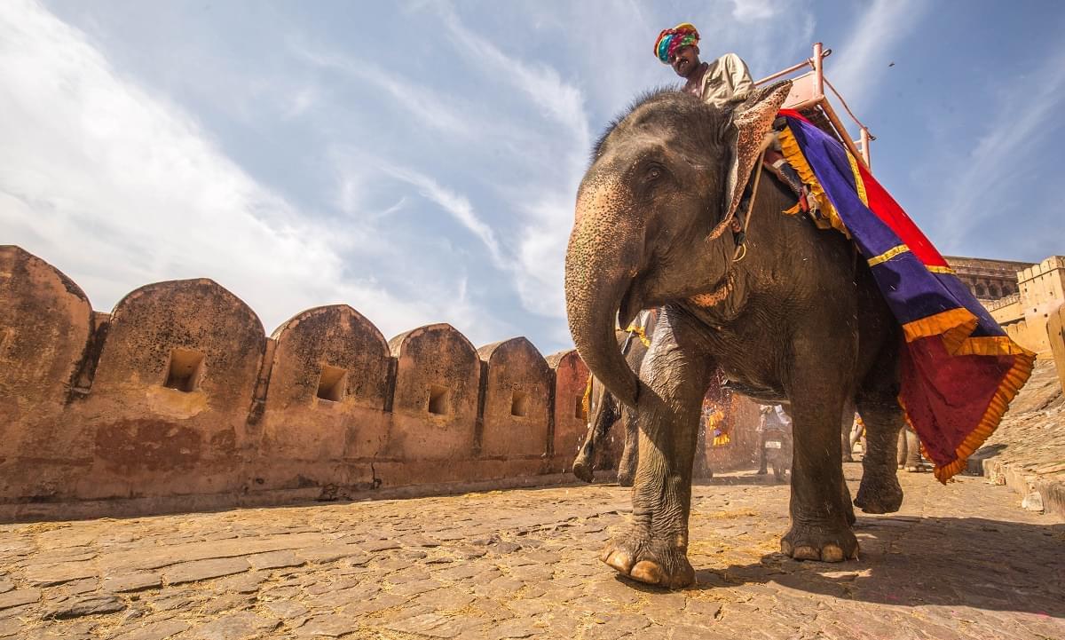 Never - Ending Heritage Rajasthan Tour Package