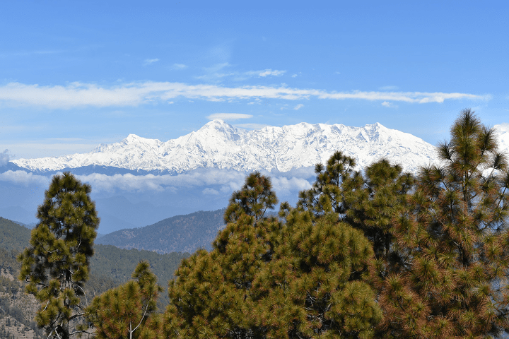 Uttarakhand Backpacking Binsar Jim Corbett Rishikesh