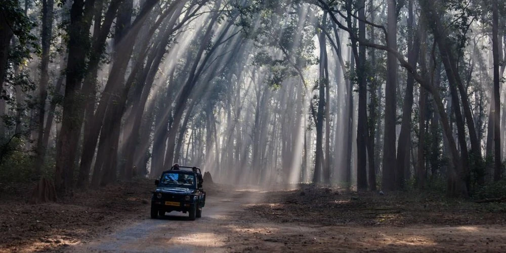 magnetic-jim-corbett-and-nainital-tour-package-JustWravel-1745586292-27.jpg