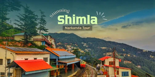 stunning-shimla-narkanda-tour-package-JustWravel-1747898490-13-Stunning-Shimla--Narkanda.png