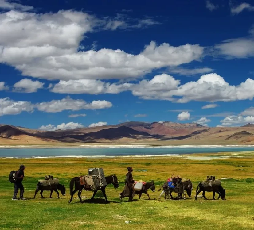 8 Nights 9 Days Srinagar Leh Tour Package