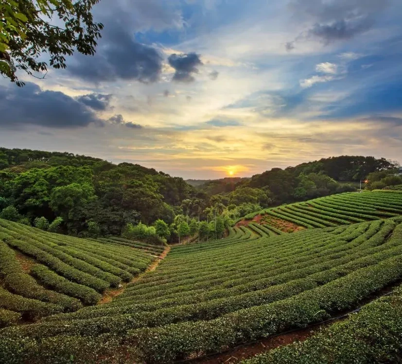 12 Days Tour package North East India