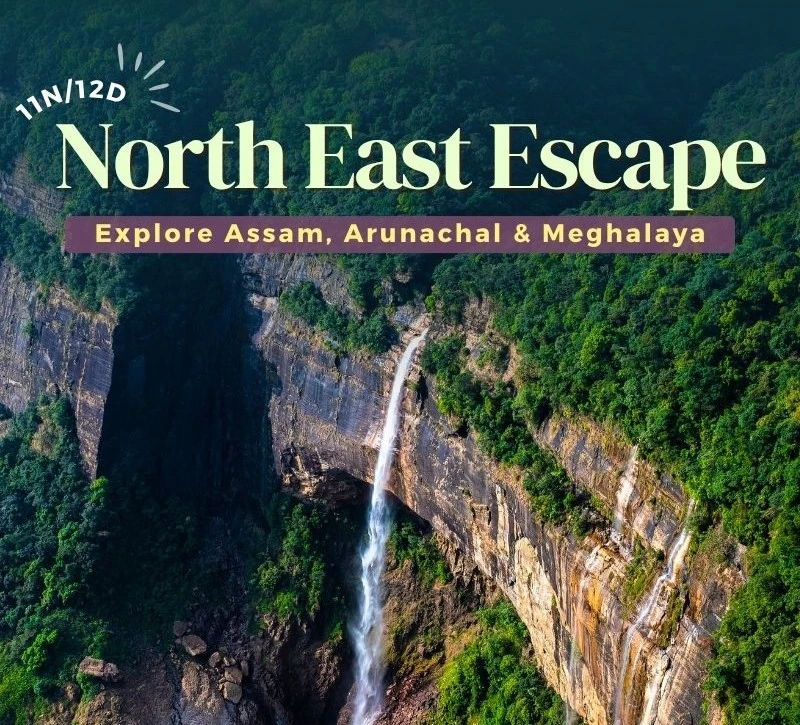 12-days-tour-package-north-east-india-JustWravel-1751517944-7.-11N_12D.jpg