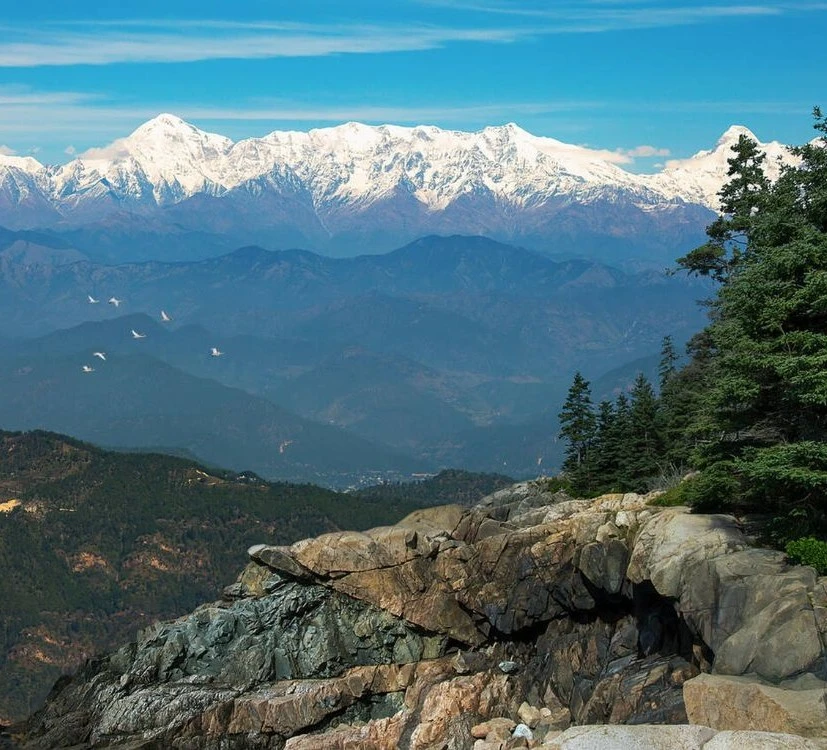 2-night-3-days-amazing-binsar-tour-package-JustWravel-1746173187-Untitled-design-(10).jpg