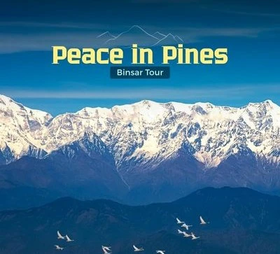 2-night-3-days-amazing-binsar-tour-package-JustWravel-1748185264-11--Binsar-Tour.jpg