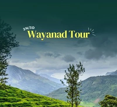 2n-3d-wayanad-tour-package-JustWravel-1753178418-Wayanad-Tour-(4).jpg