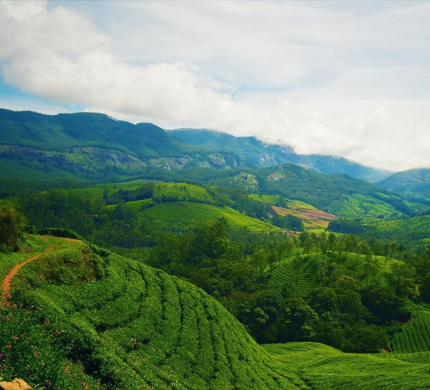 3 Night 4 Days Munnar and Alleppey Tour Package