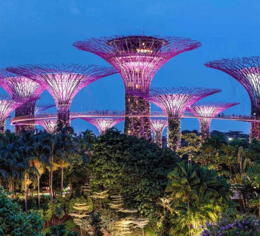 3-nights-singapore-budget-friendly-package-JustWravel-1735799789-The-Super-Trees-at-Gardens-By-The-Bay-illuminated-in-pink-at-evening,-Singapore.jpg