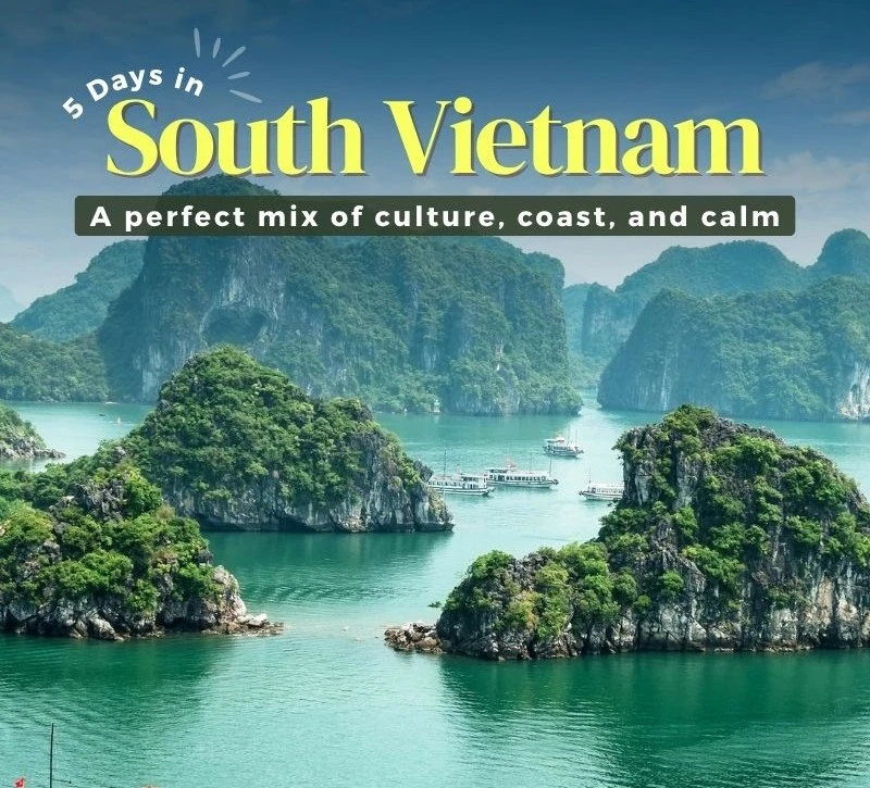 4-night-5-days-danang-vietnam-package-JustWravel-1751519445-4N_5D-(2)-(1).jpg