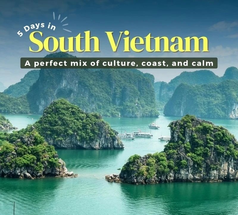 4 Nights 5 Days South Vietnam Tour