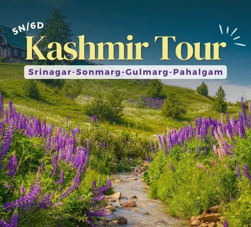 5-night-6-days-kashmir-tour-JustWravel-1749199833-5N_6D-(1).jpg