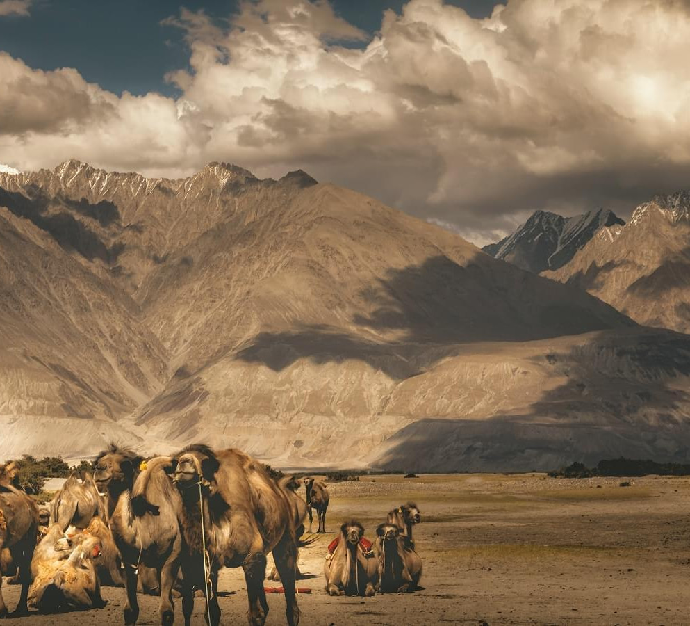Wondrous Leh Ladakh Tour Package with Kargil and Srinagar