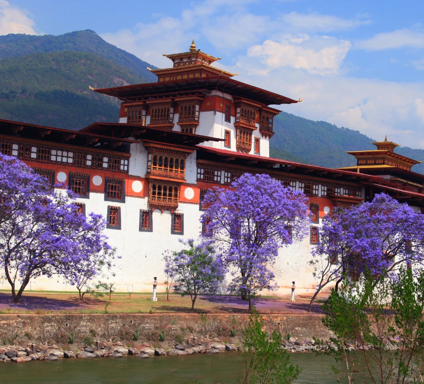 Bhutan Group Tour Christmas and New Year Trip