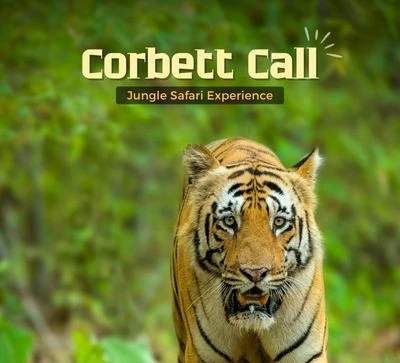 jim-corbett-jungle-safari-JustWravel-1748184918-9-Jim-corbett-Jungle-Safari.jpg