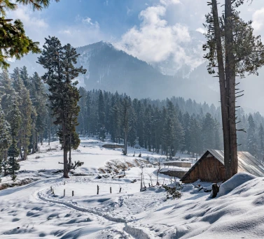 kashmir-6-days-honeymoon-package-JustWravel-1733732913-honeymoon-kashmir.png