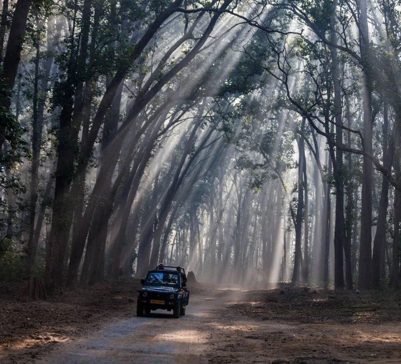 magnetic-jim-corbett-and-nainital-tour-package-JustWravel-1745586306-27.jpg